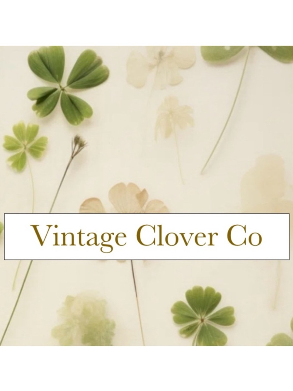 WELCOME TO MY CLOSET